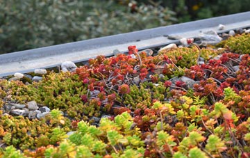 the cost of Maguires Bridge green roof installation