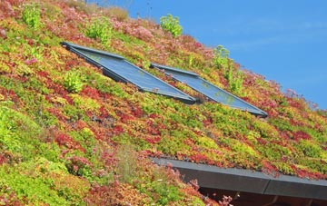 Maguires Bridge living roof systems