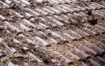 Maguires Bridge roof cleaning companies