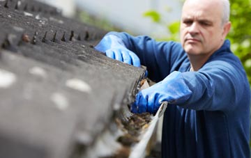 cleaning and inspecting Maguires Bridge roofs
