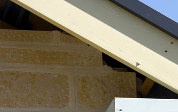 soffit repair Maguires Bridge