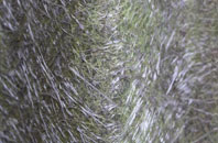 Maguires Bridge fibreglass roof work